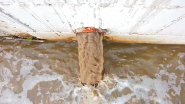 Tubo de residuos o ambiente contaminante de drenaje. El desagüe lleva aguas residuales. Agua sucia descargando directamente en el río de la ciudad . — Vídeos de Stock