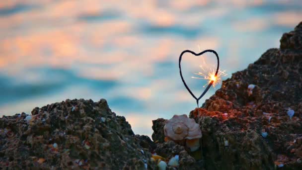 心型闪烁和贝壳 — 图库视频影像