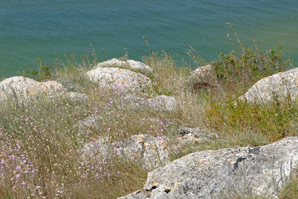 Скелі на морському узбережжі та поверхні води — стокове фото