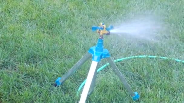 Système d'irrigation de jardin arrosage de pelouse . — Video