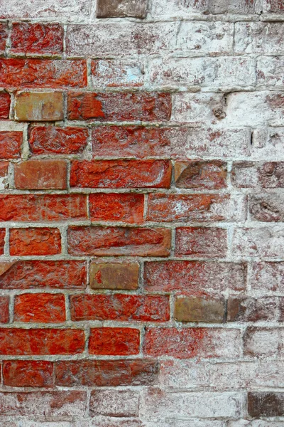 brick wall covered with salt