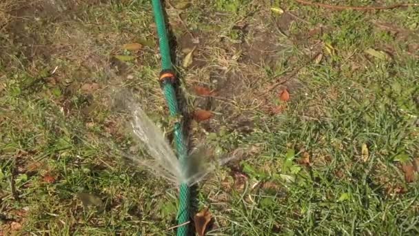 Fuga de agua de la manguera verde en el jardín, por encima de tiro estático. — Vídeos de Stock