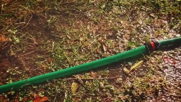 Water leak from garden hose — Stock Video