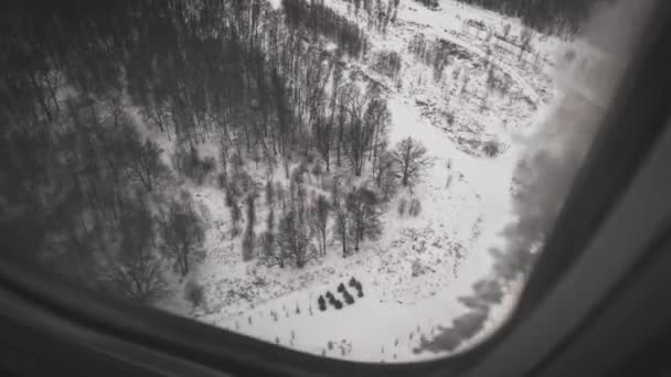 Survoler des bois sauvages. Photographie aérienne prise depuis la fenêtre de l'avion. — Video
