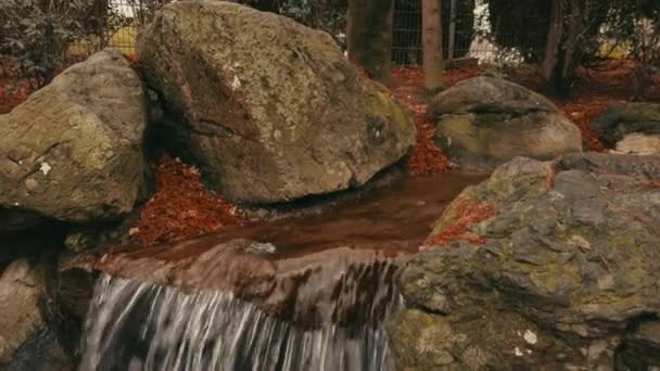 Um riacho rápido cai das rochas formando uma pequena cachoeira — Vídeo de Stock