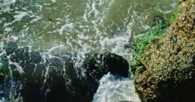 Deniz yosunlarıyla kaplı kıyı taşlarından yüzen yosunlarla birlikte deniz suyuna doğru eğik.