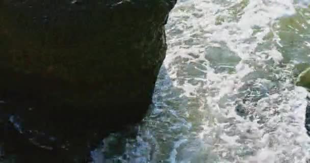 Sea water hits rocks covered with a layer of algae — Stock Video