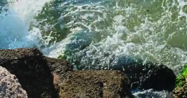 A sea of green beats on the shorestones — Stock Video