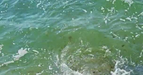 Grüne Meeresoberfläche ist mit Schaum und Sonnenblendung bedeckt — Stockvideo
