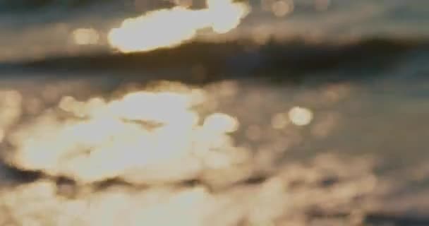 Sunset sea surface blurred — Stock Video