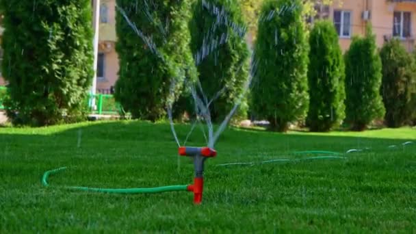 Spinning lawn sprinkler in slow motion — Stock Video