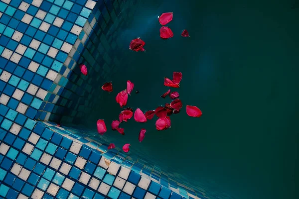 Bañera Hidromasaje Con Agua Verde Algunos Pétalos Rosa Flotando Superficie —  Fotos de Stock