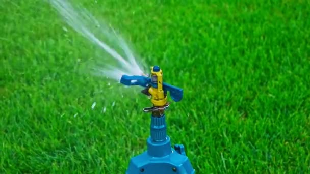 Head of Sprinkler on tripod watering grass — Stock Video