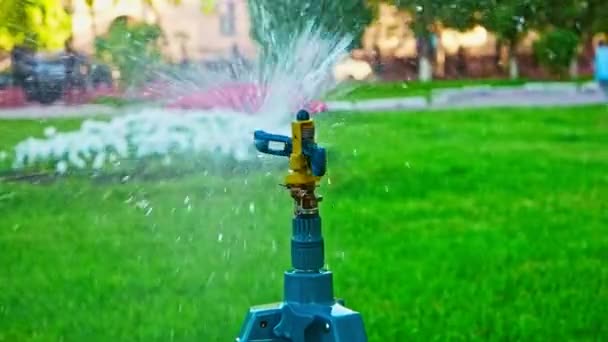 Sprinkler på stativ sprider vatten över gräsmattan — Stockvideo