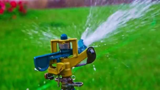 庭のスプリンクラーの頭の周りに水を広げる — ストック動画