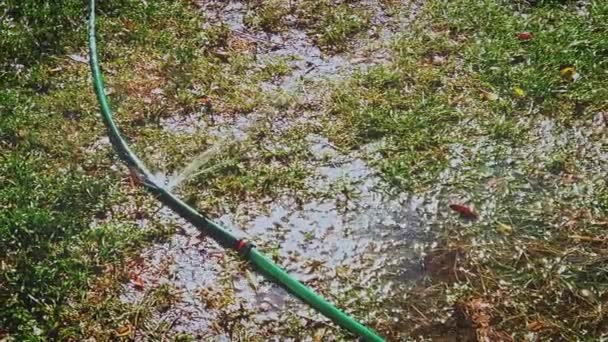 Manguera de jardín con fugas de agua — Vídeo de stock