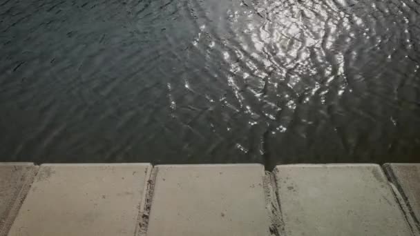 Waves on calm water surface against the Parapet of a embankment. — Stock Video