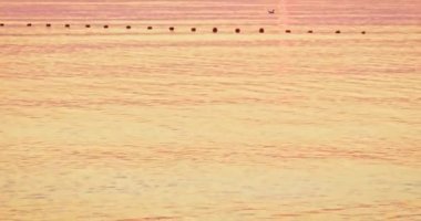 Gün batımında Azov sahili manzarası. Berrak turuncu akşam gökyüzü, sakin dalgalar ve su kuma sıçrıyor. Idyllic gevşeme deniz manzarası.