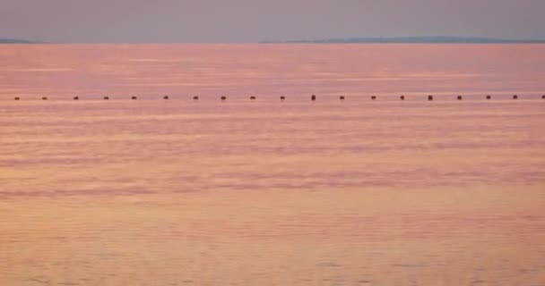 Релаксація морського дна. Захід сонця на березі моря з тихими хвилями, нахил горизонту постріл. — стокове відео