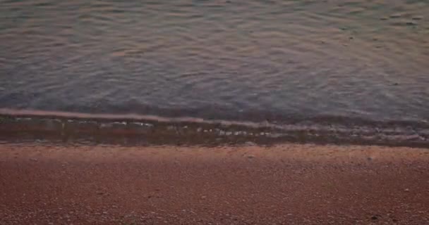 Lugnt havsvatten på sandstrand med fotspår. — Stockvideo