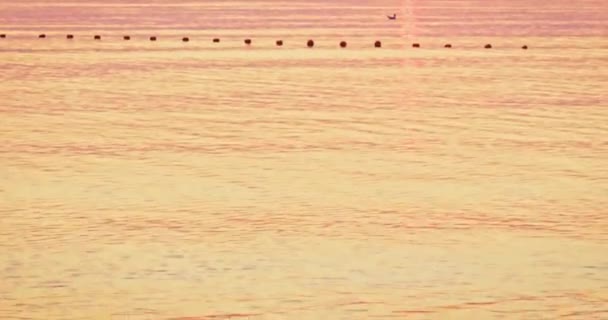 Widok od azowskiego brzegu morza o zachodzie słońca. Jasne pomarańczowe wieczorne niebo, spokojne fale i rozpryski wody na piasku. Idylliczny pejzaż morski relaksu. — Wideo stockowe