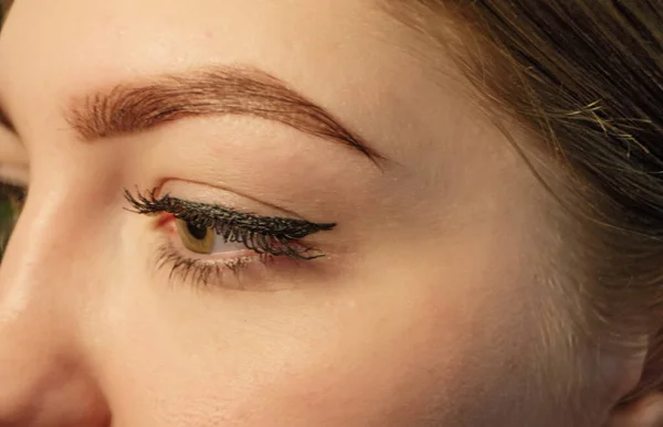 Macro Inyección Cara Mujer Con Hermoso Ojo Con Pestañas Cejas —  Fotos de Stock