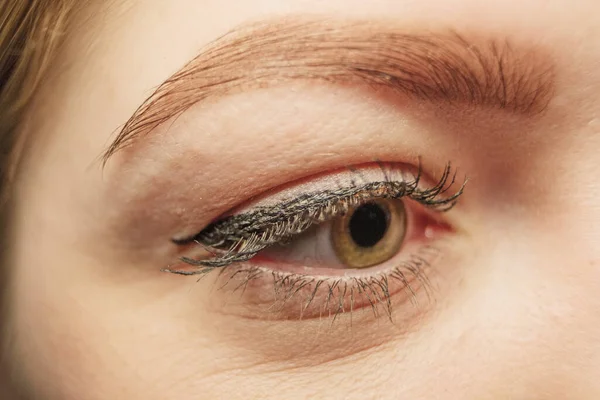 Makrobild Des Damenauges Mit Wimperntusche Pfeilform — Stockfoto