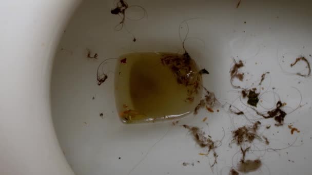 Draufsicht auf die Toilettenschüssel, die etwas Schmutz spült — Stockvideo