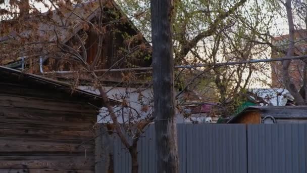 Дерев'яний дрібний будинок на силуети дерев перед небом вгору стріляти — стокове відео