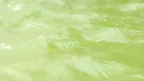 아주 가깝게 초점, 매크로 샷 녹색 물 표면 — 비디오
