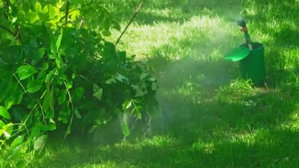 Sprinkleranlage im Hinterhof funktioniert — Stockvideo