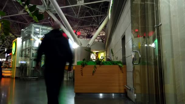 Moskwa Rosja, 18 grudnia 2019 r.: Timelapse of people in Vnukovo Airport — Wideo stockowe