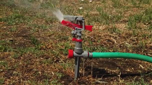 The head of the irrigation system sprays water on the drying grass which is fed to it by green hose, pan slow motion. — Wideo stockowe