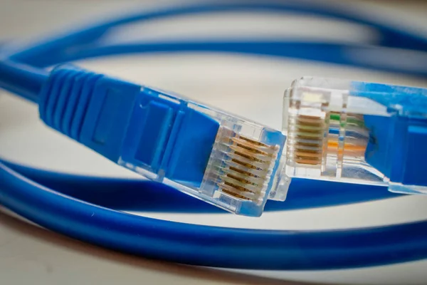 Dos enchufes RJ45 de red de macro color azul. Cable de internet de datos de red blindado azul RJ45 CAT6 en bobinas y conectores sobre fondo gris poco profundo DOF —  Fotos de Stock