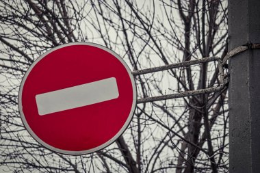 Kış ağacı kahverengi dallarının arka planında bir yuvarlak yol işareti yasaktır..
