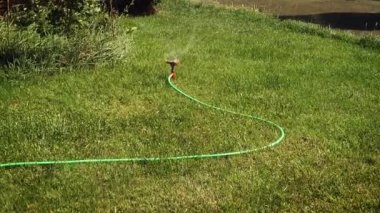Döndürücü çimleri suluyor. Fıskiye kafasının hızla döndüğü görüntüyü yakınlaştır ve suyu çimlerin her tarafına dağıt.