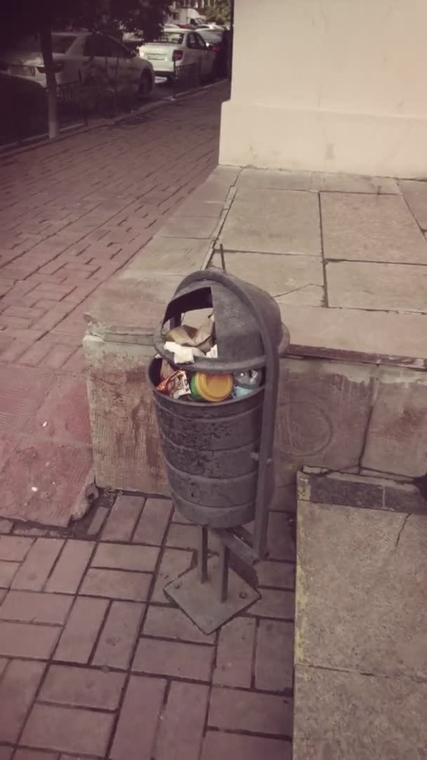 Overfilled trash can in the city move in shot. Urban alleyway in ghetto scene, vertical video — Vídeos de Stock