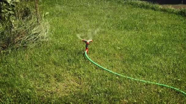 Spinning giardino spruzzatore. Irrigazione in giardino. Irrigatore da giardino irrigazione del prato — Video Stock