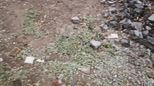 땅을 덮고 있는 쓰레기를 가지고 거리를 걷고 있는 대통령 — 비디오