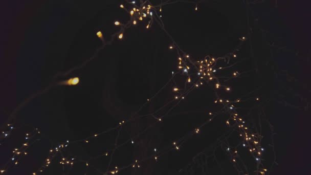 Garland decoration on the dark sky background — Stock Video