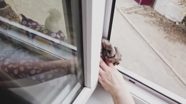 Woman washing window frame with cloth and detergent — Stock Video