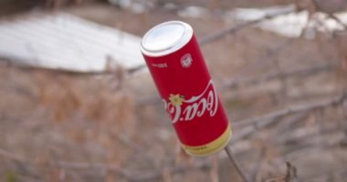 Astrakhan, Russia - 18 March 2021: Empty Coca-Cola Vanilla Can Is Hanging On Dry Bush Branch. Littering concept. Big Corporation Responsibility for recycling concept