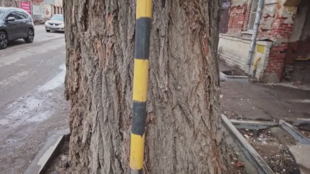 Work in progress road sign in the city set in front of tree trunk — Video