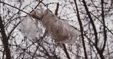 Plastic bag garbage hang on the branches of a tree environmental concept