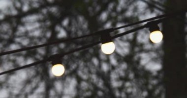 Depression and loneliness. Garland decoration light bulbs in front of the dark trees silhouettes in front of night sky