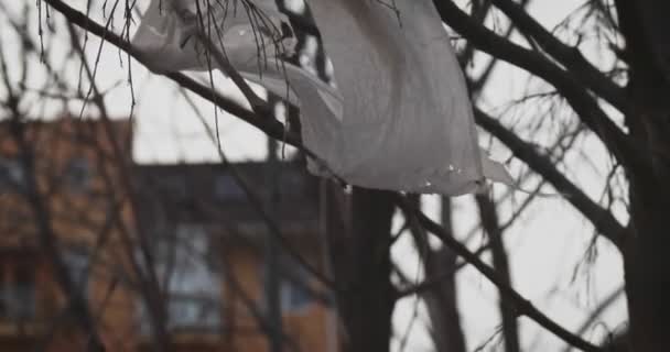 Vuil en gescheurd stuk plastic fladderend in de wind op boomtakken — Stockvideo