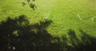 Gölgenin kenarındaki çimenlik fıskiyeler ve güneş ışığında çimenler.