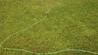 Hareket ettirilebilir fıskiye başlığı yavaş çekimde çimlerde dönüyor