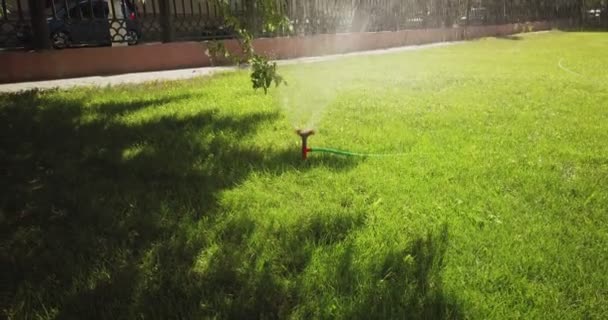 Girando testa irrigatore automatico irrigazione del prato cortile in piccolo giardino piedistallo colpo — Video Stock