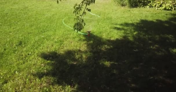 Spinning auto-spinkler regando o gramado. Zoom no tiro da cabeça do aspersor girando rapidamente e espalhando a água por todo o gramado no quintal — Vídeo de Stock